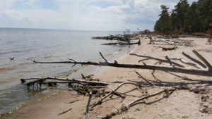 Strandgut Kolka Lettland 