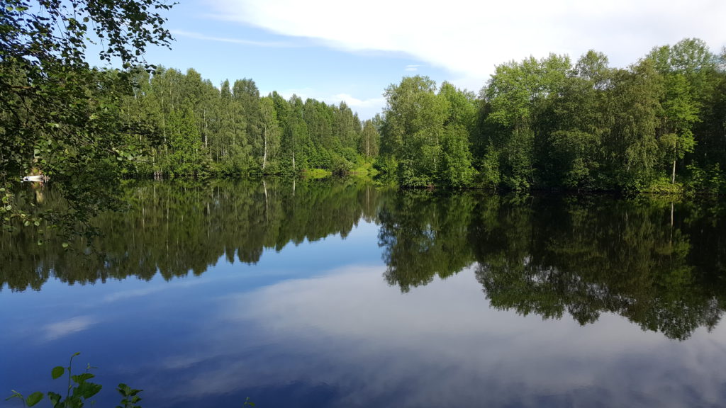 Kurz vor Rovaniemi 