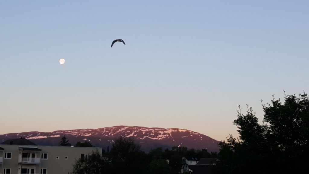 Nesna 3:30Uhr