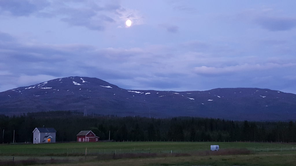Äsmulen 2:30Uhr 
