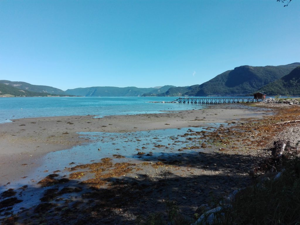 IMG-20160721-WA0000