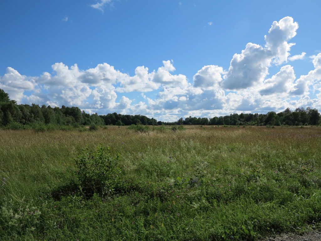 Auf dem Weg nach Saameraa
