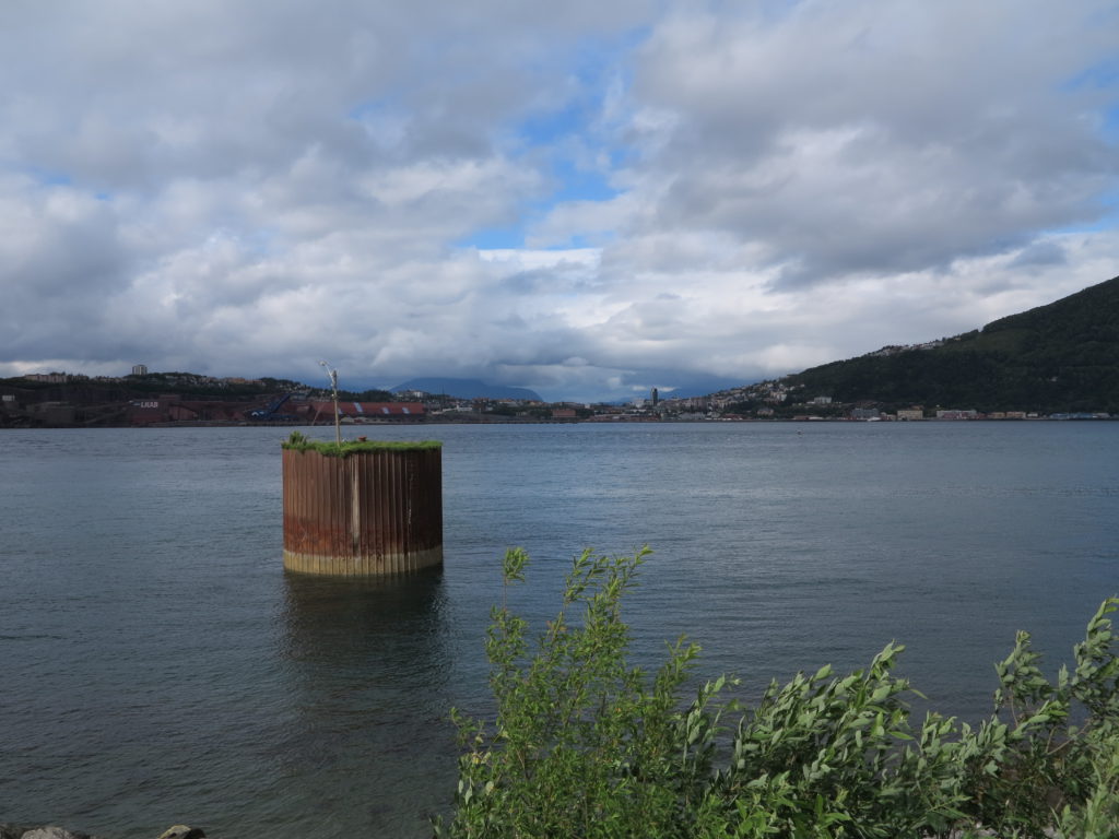 Blick auf Narvik