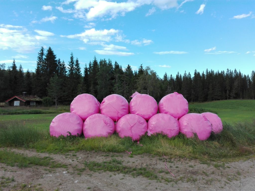 Norwegian art