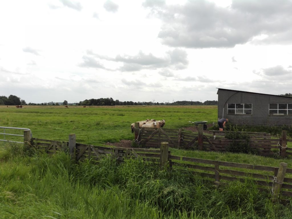 Neugierde/Nordfriesland